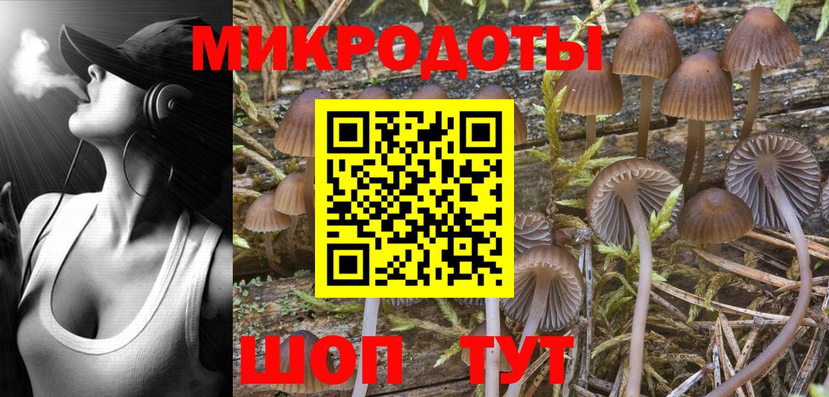 Ипатово  Галлюциногенные грибы Psilocybe  Вход с VPN 